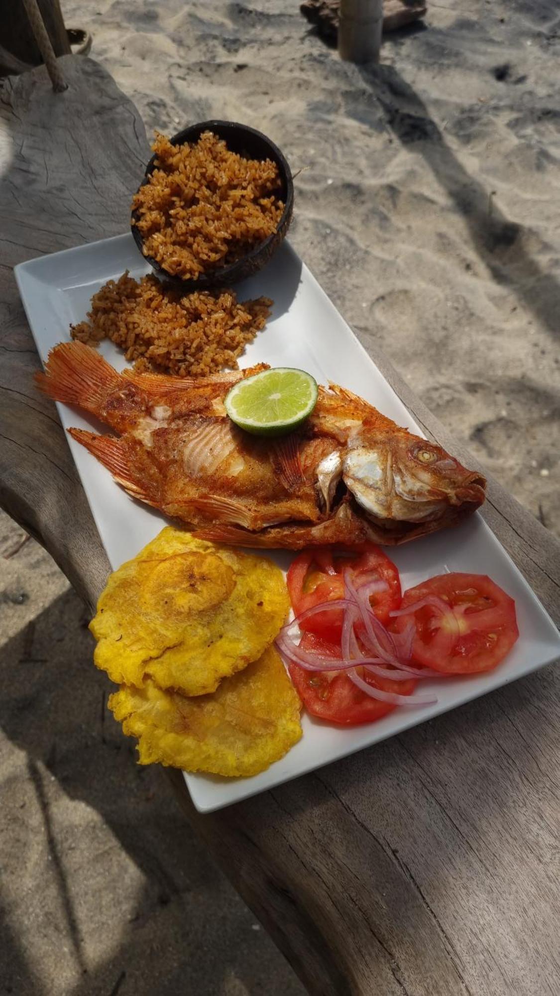 Sublime Ecohotel - Tayrona Palomino Luaran gambar