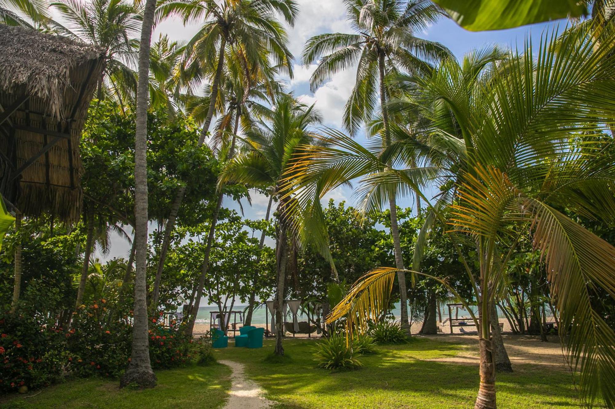 Sublime Ecohotel - Tayrona Palomino Luaran gambar