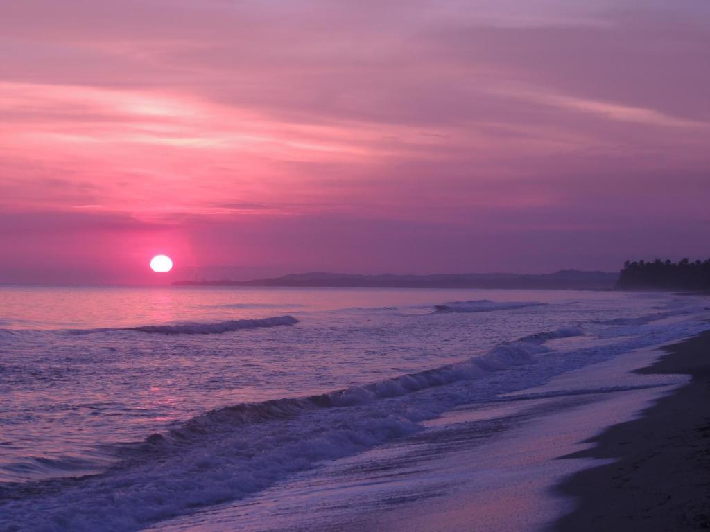 Sublime Ecohotel - Tayrona Palomino Luaran gambar